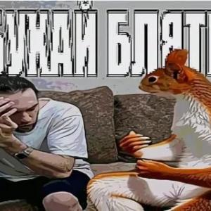 b0b1k
